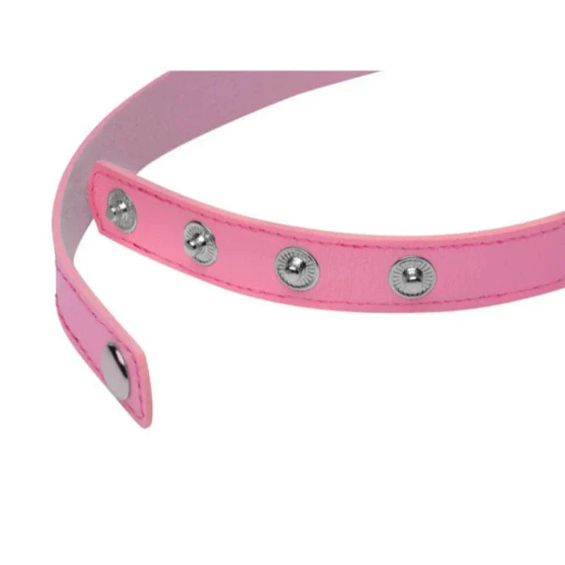 Bondage Gargantilla Con Anillo De Gatito Collar Kinky Kitty Ms