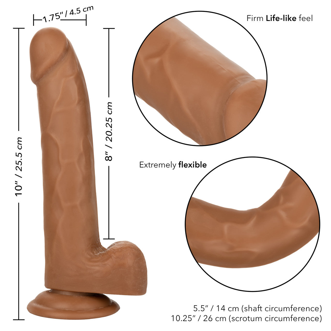 Size Queen 8"/20.25 Cm