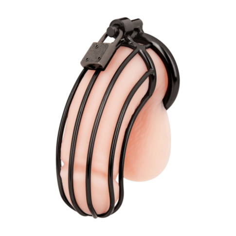Prisoner Cock Cage