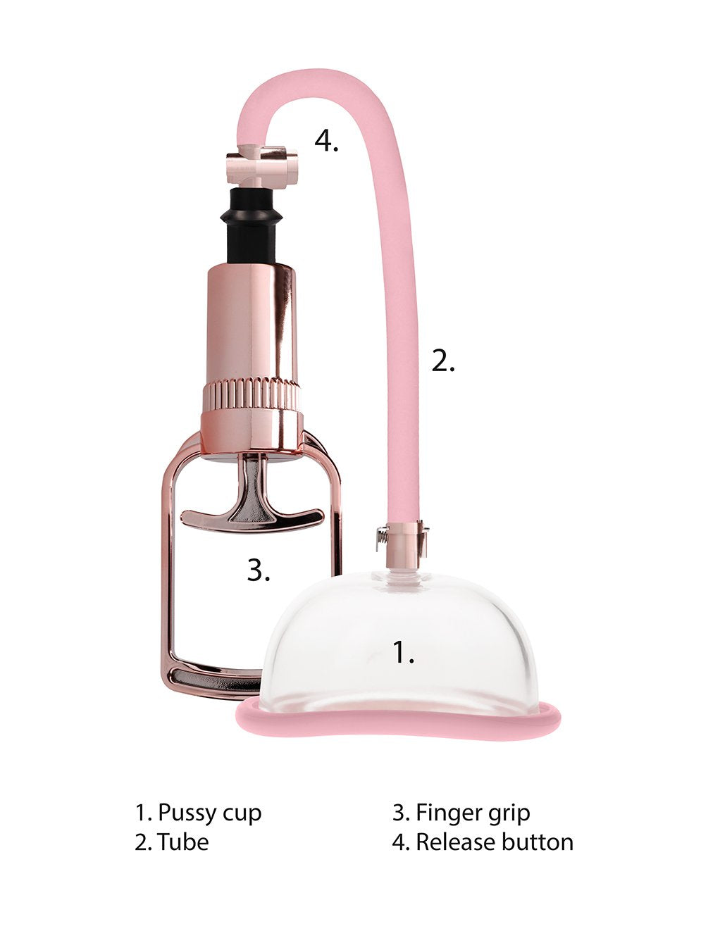 Pumped Rose Gold Pussy Pump- Details