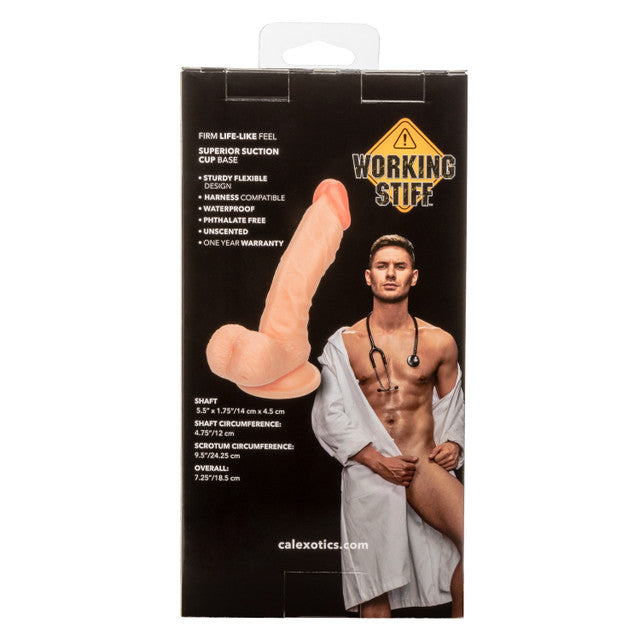 Dildo Working Stiff The Doctor