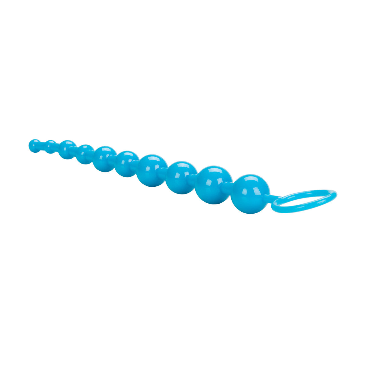 Entrenador Anal Shane´S 101