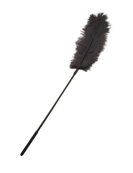 Bondage Cosquilleo De Plumas De Avestruz Negro